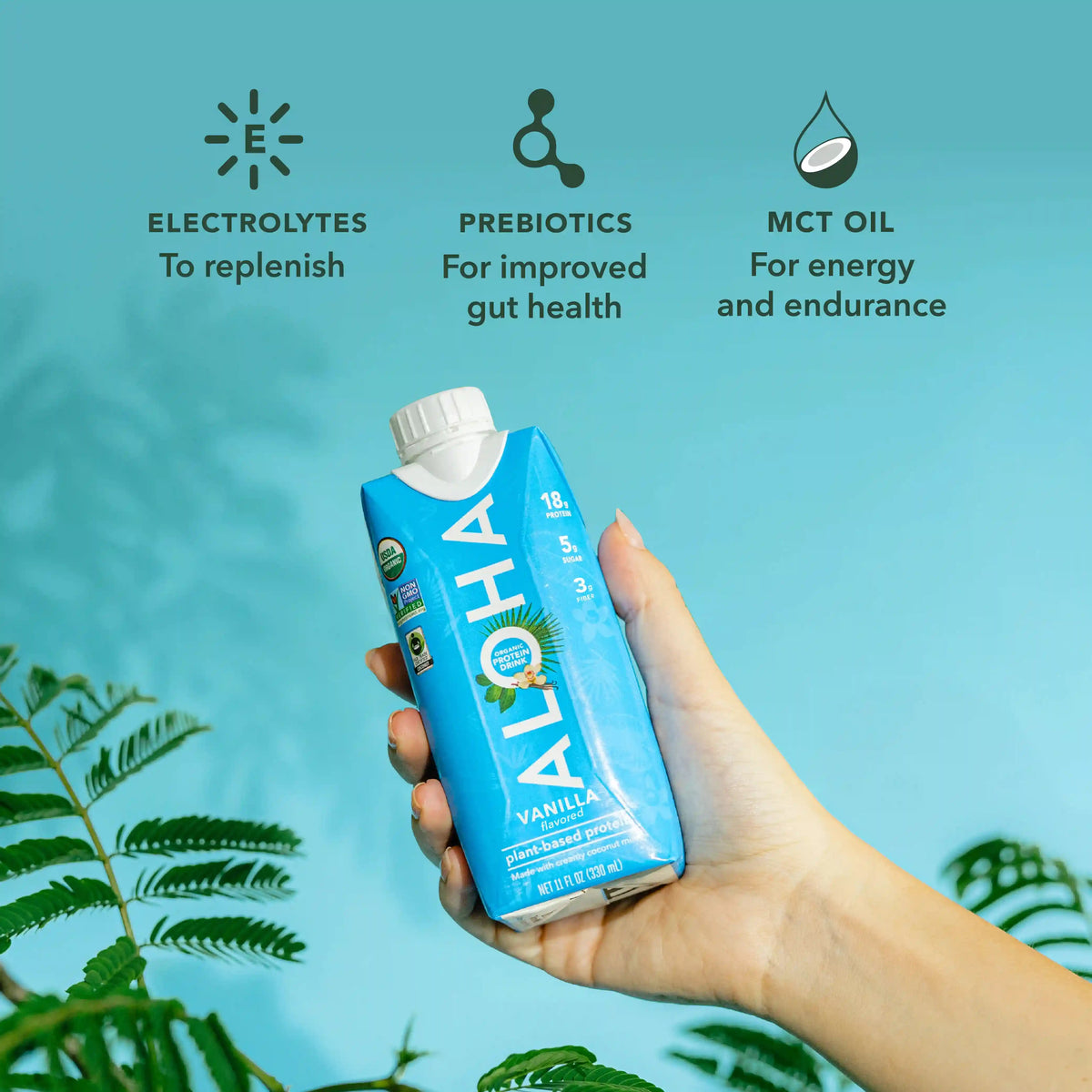 Vanilla Protein Drinks - 4-Pack