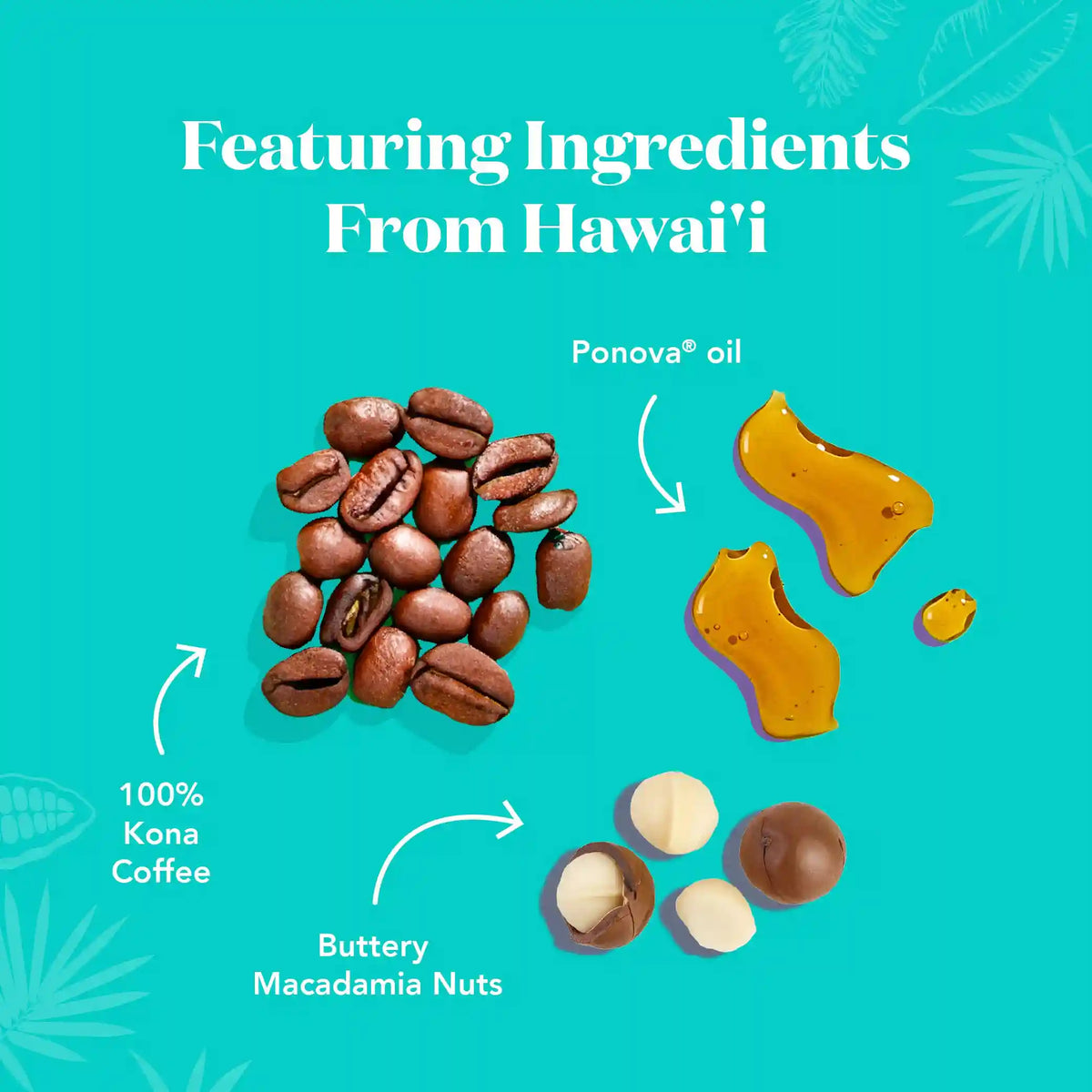 The Kona Bar - Protein Bars
