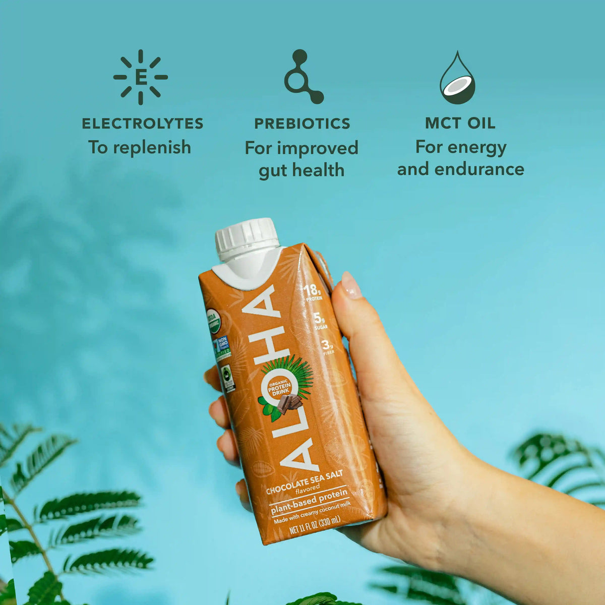 Chocolate Sea Salt - Protein Drinks